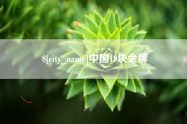 高安中国19块金牌