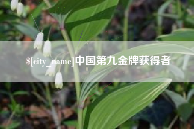 高安中国第九金牌获得者