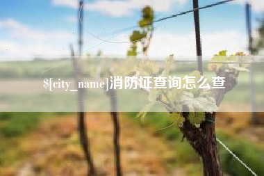 高安消防证查询怎么查