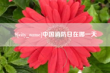 高安中国消防日在哪一天