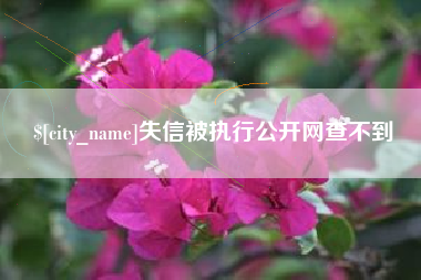 高安失信被执行公开网查不到