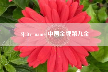 高安中国金牌第九金