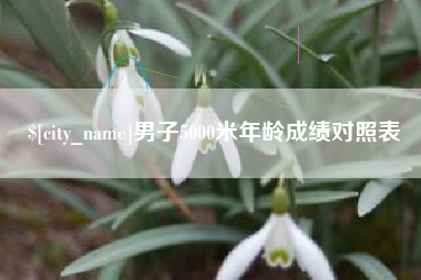 高安男子5000米年龄成绩对照表