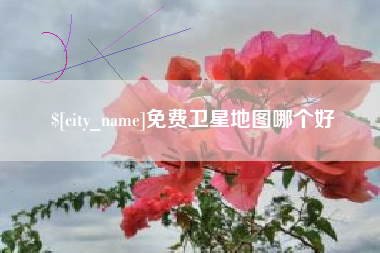 高安免费卫星地图哪个好