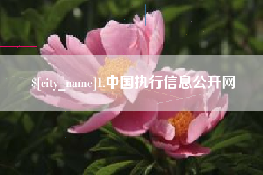 高安1.中国执行信息公开网