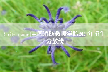 高安中国消防救援学院2024年招生分数线