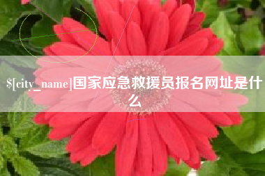 高安国家应急救援员报名网址是什么