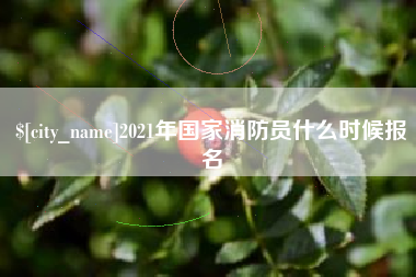 高安2021年国家消防员什么时候报名