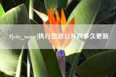 高安执行信息公开网多久更新