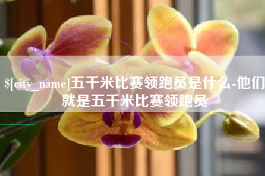 高安五千米比赛领跑员是什么-他们就是五千米比赛领跑员