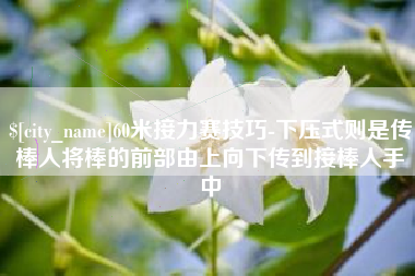 高安60米接力赛技巧-下压式则是传棒人将棒的前部由上向下传到接棒人手中