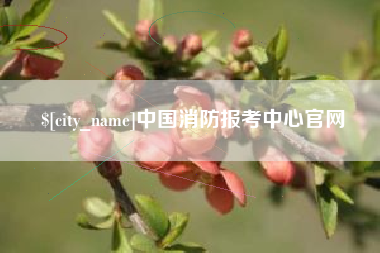 高安中国消防报考中心官网