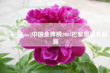 高安中国金牌榜2024巴黎奥运会最新