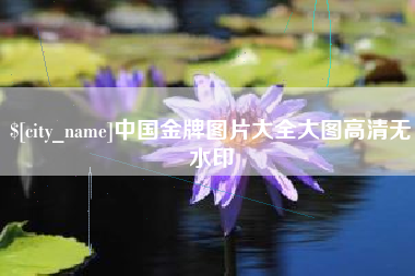 高安中国金牌图片大全大图高清无水印