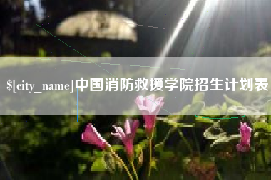 高安中国消防救援学院招生计划表