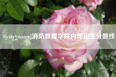 高安消防救援学院内部招生分数线