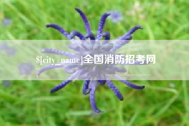 高安全国消防招考网