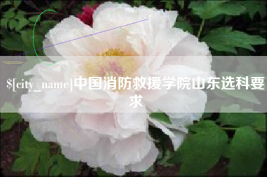 高安中国消防救援学院山东选科要求