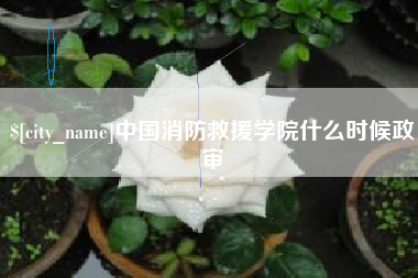 高安中国消防救援学院什么时候政审