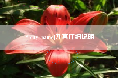高安九宫详细说明