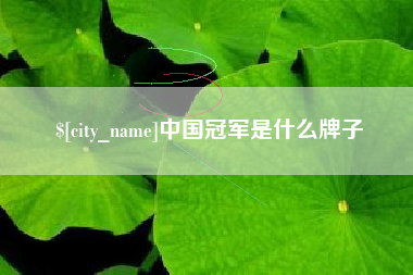 高安中国冠军是什么牌子