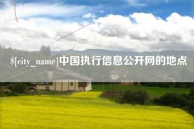 高安中国执行信息公开网的地点