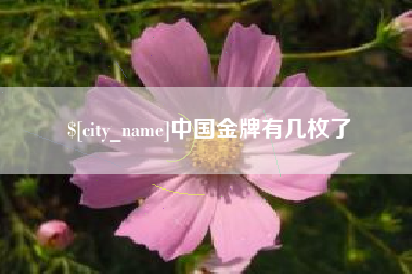 高安中国金牌有几枚了
