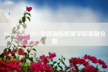 高安2021中国消防救援学院录取分数