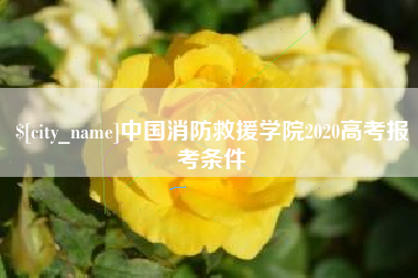 高安中国消防救援学院2020高考报考条件