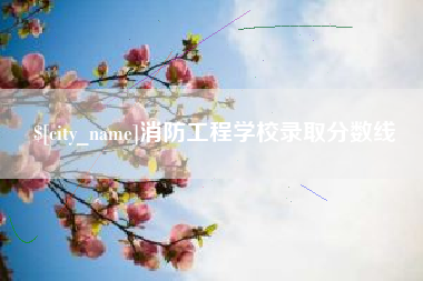 高安消防工程学校录取分数线