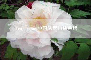 高安中国队第八块金牌