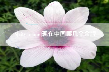 高安现在中国哪几个金牌