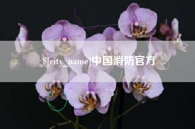 高安中国消防官方