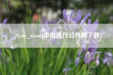 高安中国执行公开网下载
