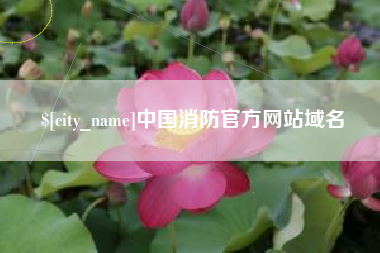 高安中国消防官方网站域名