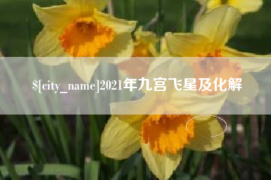 高安2021年九宫飞星及化解