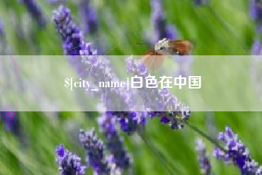 高安白色在中国