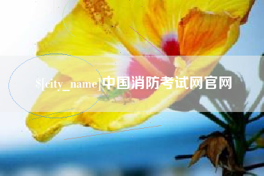 高安中国消防考试网官网