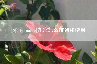 高安九宫怎么排列和使用