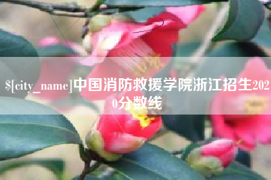 高安中国消防救援学院浙江招生2020分数线