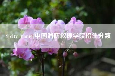 高安中国消防救援学院招生分数