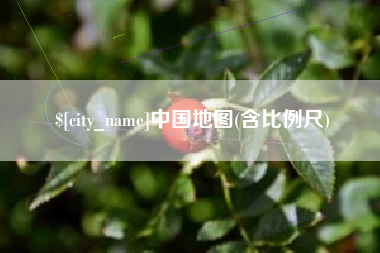 高安中国地图(含比例尺)