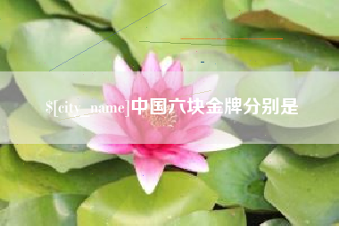 高安中国六块金牌分别是
