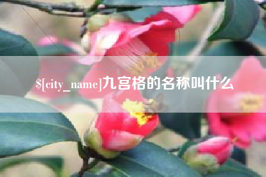 高安九宫格的名称叫什么