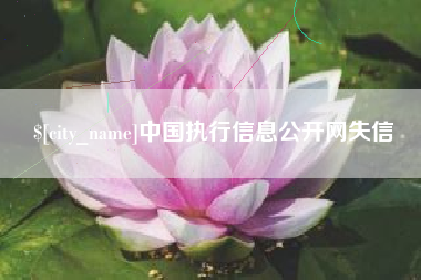 高安中国执行信息公开网失信