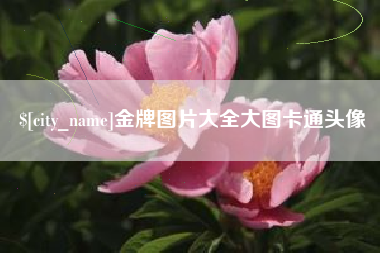 高安金牌图片大全大图卡通头像