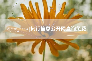 高安执行信息公开网查询免费